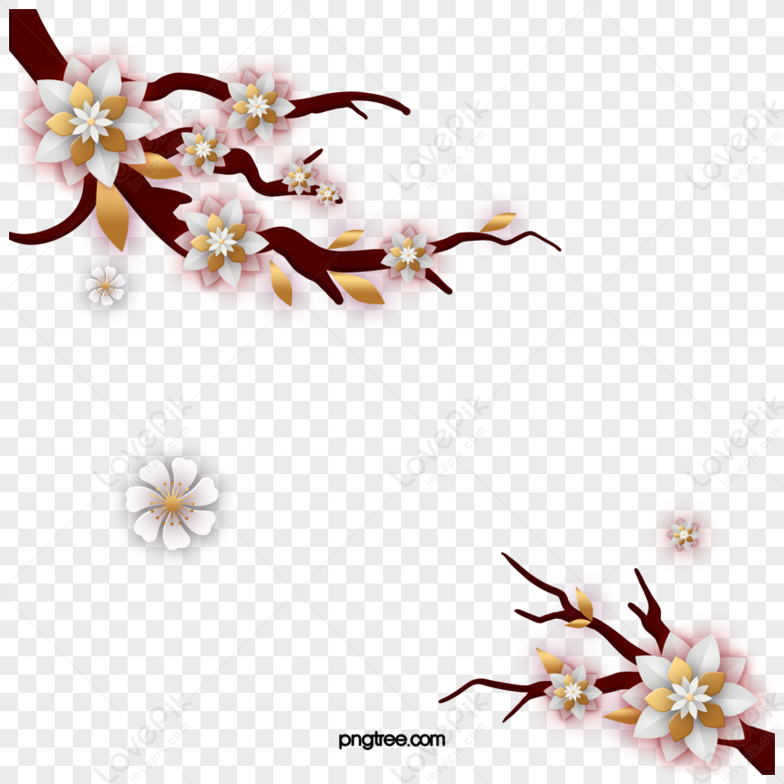 Chinese Traditional White Plum Tree Branch Petals,china,plums PNG White ...