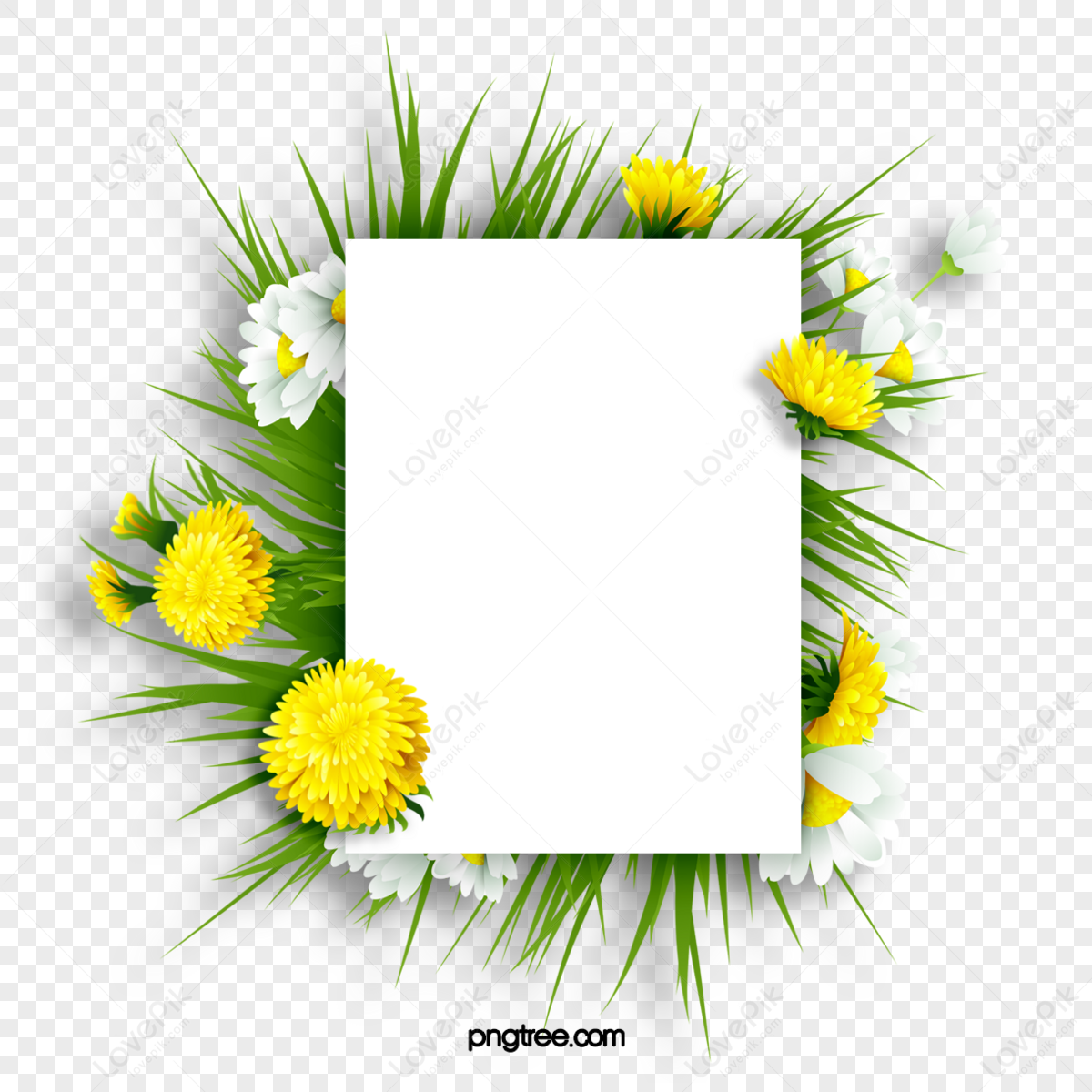 Daisies Border Png Images With