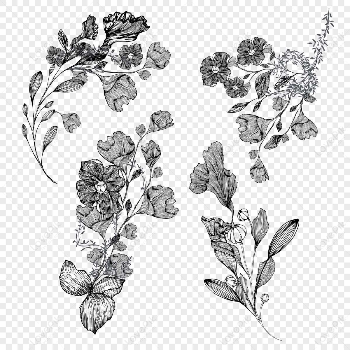 Pansy flower sketch art, vintage style printed for cute flower coloring  pages. Vector illustration of a Beautiful pansy flower, and leaves,  realistic Neon Violet drawing, isolated on white background, 21192897  Vector Art