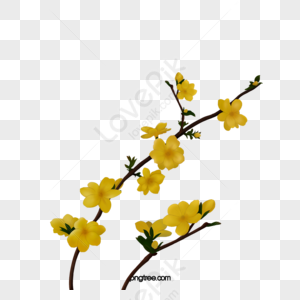 Palm Tree Trunk Clipart Hd PNG, Yellow Hoa Mai Apricot Blossom Flowers On  Tree Trunk, Hoa Mai, Apricot, Blossom PNG Image For Free Download