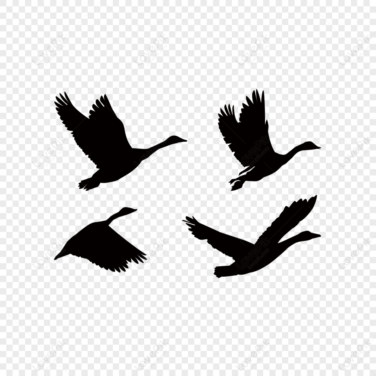 Black Hand Drawn Wild Goose Silhouette,birds,flock Of Birds PNG White ...