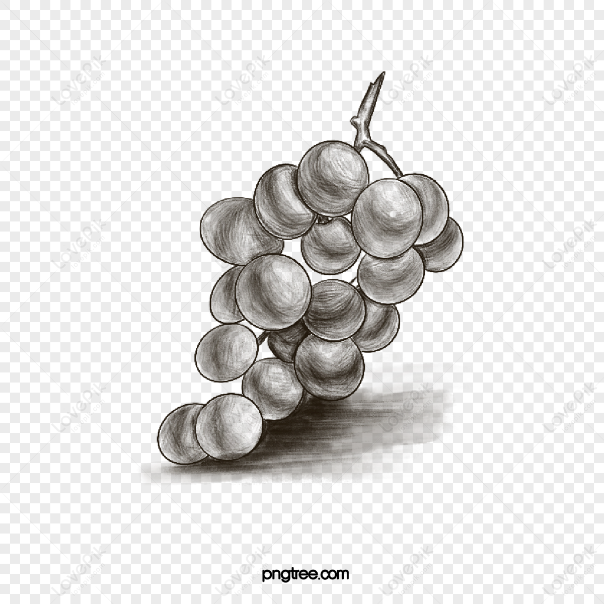 Grapes Drawing: Tips and Inspiration for Creating Your Own Grape Art
