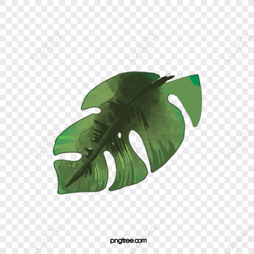 Tropical Plant Palm Leaves,hand Drawn Leaves,palms,plants Leaves PNG ...