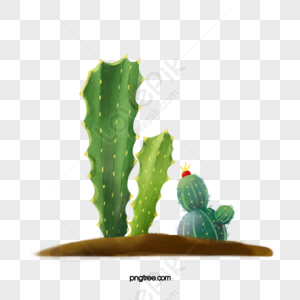 Cactus Cartoon png download - 776*512 - Free Transparent Cactus png  Download. - CleanPNG / KissPNG