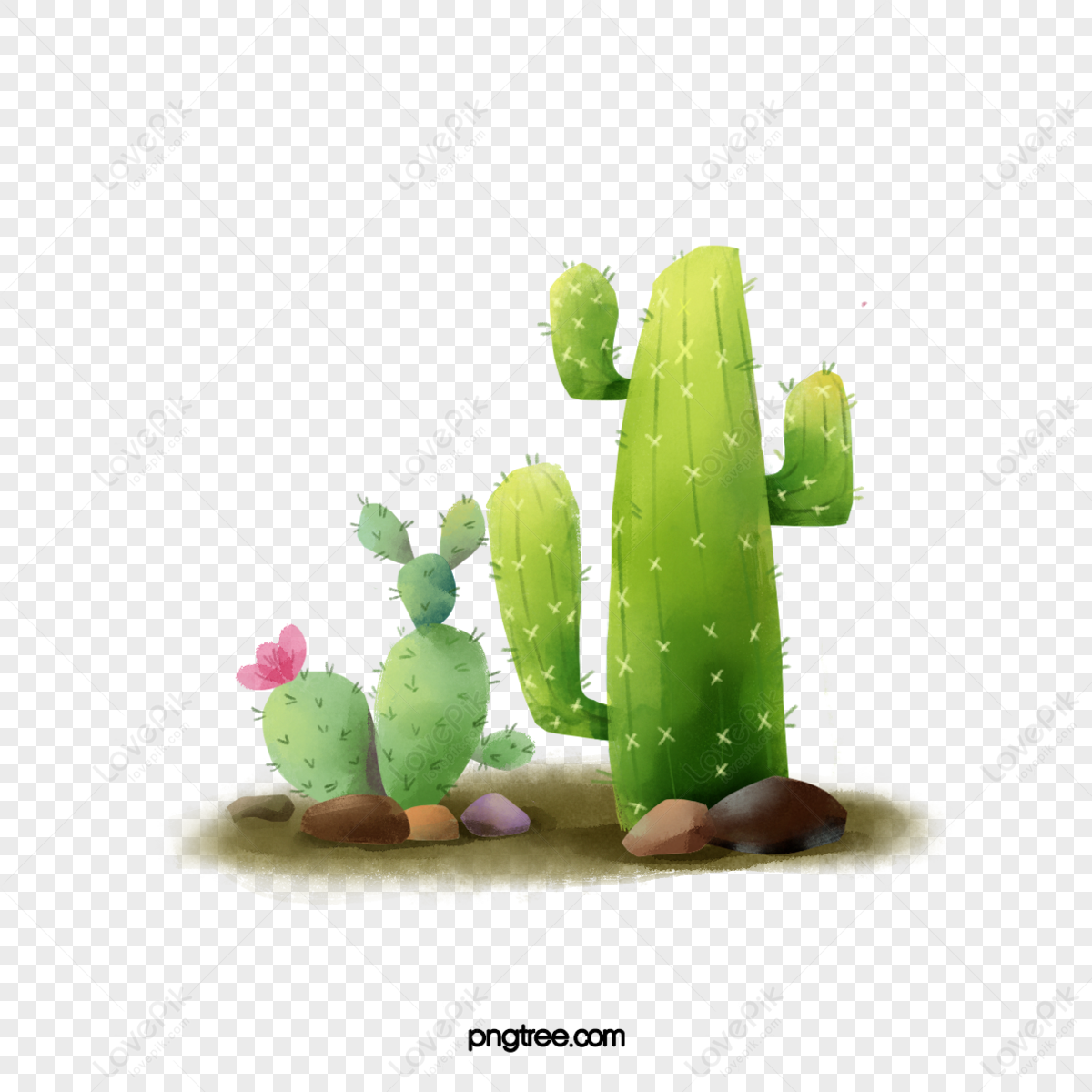 Cartoon Cactus PNG Images, Cartoon Clipart, Hand Painted, Cactus PNG  Transparent Background - Pngtree