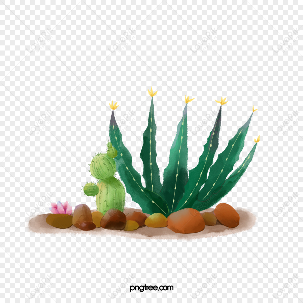 Cartoon Cactus PNG Images, Cartoon Clipart, Hand Painted, Cactus PNG  Transparent Background - Pngtree