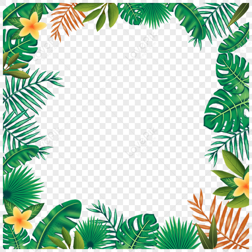 Hand Drawn Style Tropical Leaves Border,banana Leaves,plumeria Rubra ...