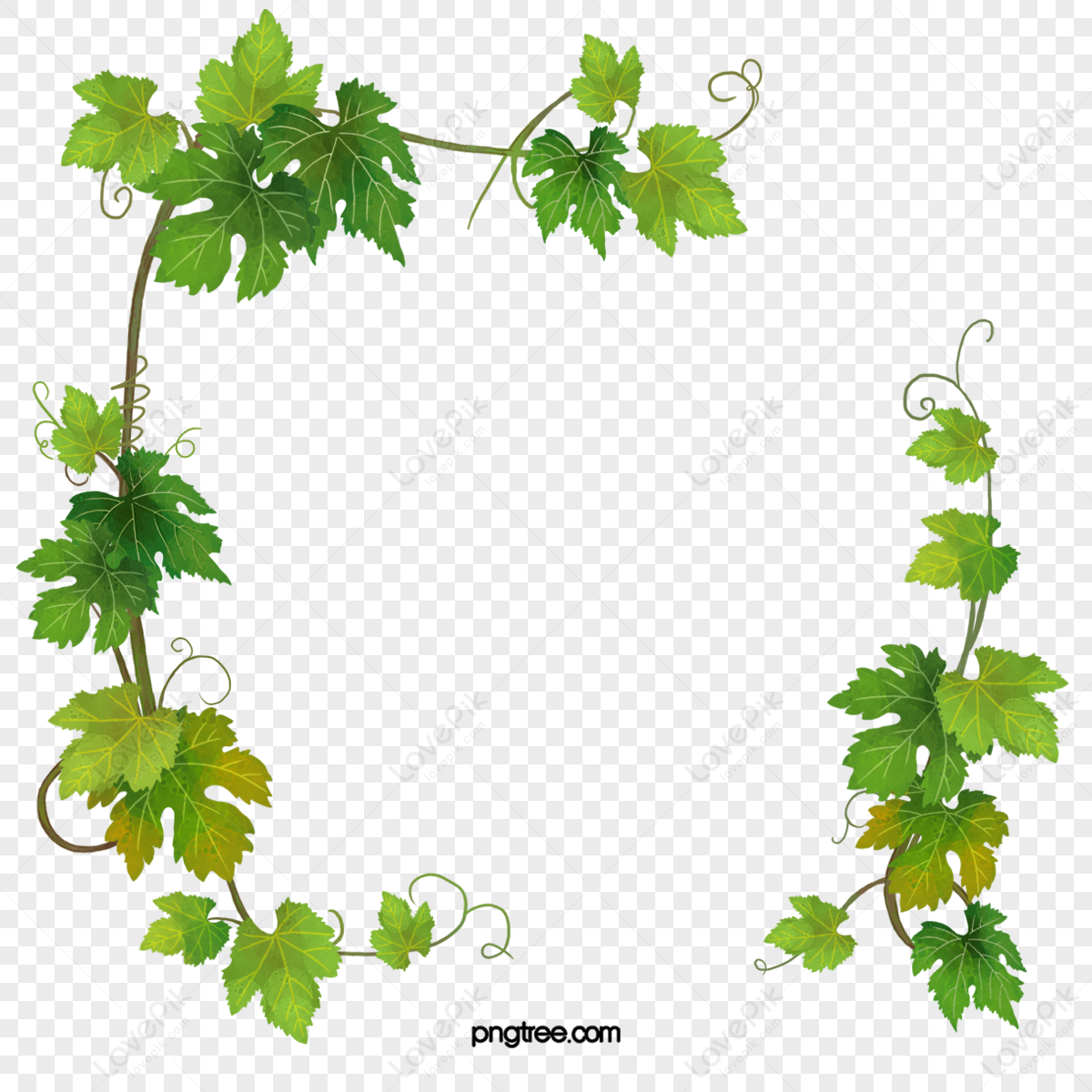 Plants Vine Images, HD Pictures For Free Vectors Download - Lovepik.com