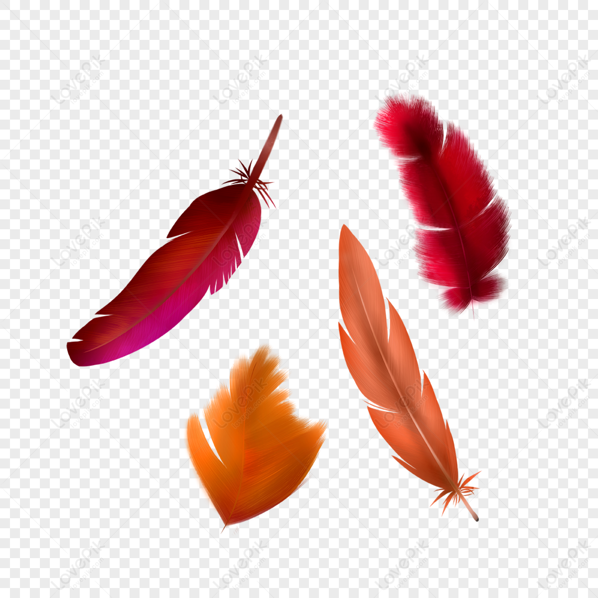 Feather png images