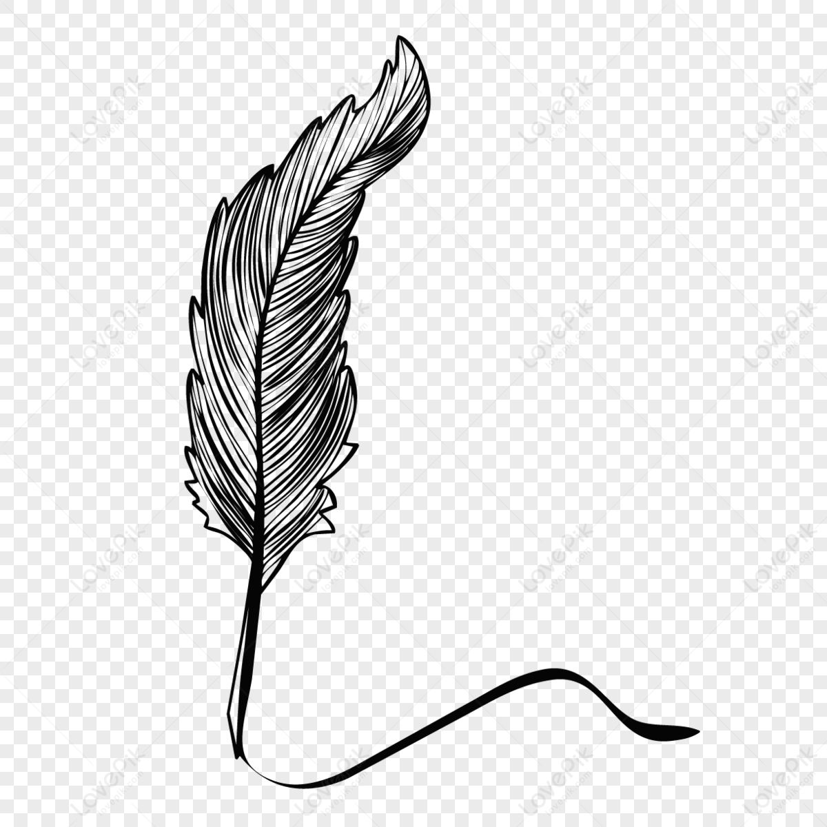 Cartoon hand drawn feather pen writing illustration,paint hand,hand painted png white transparent