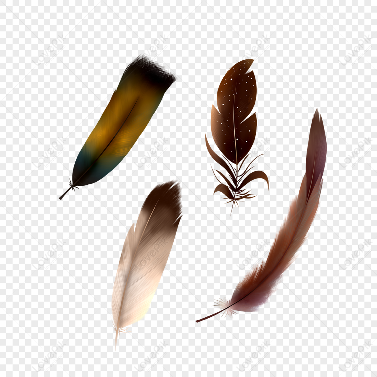 Brown Feathers PNG Image, Brown Animal Feather, Feather, Floating