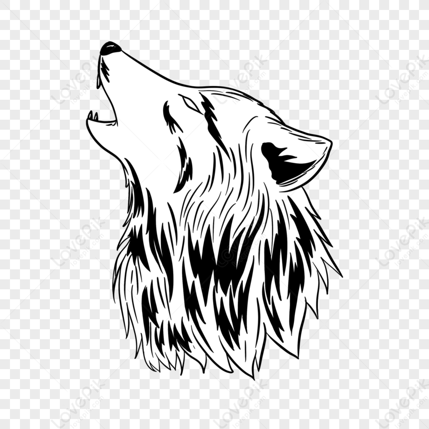 Wolf Cut Anime Hair, Wolf Drawing, Anime Drawing, Hair Drawing PNG  Transparent Clipart Image and PSD File for Free Download