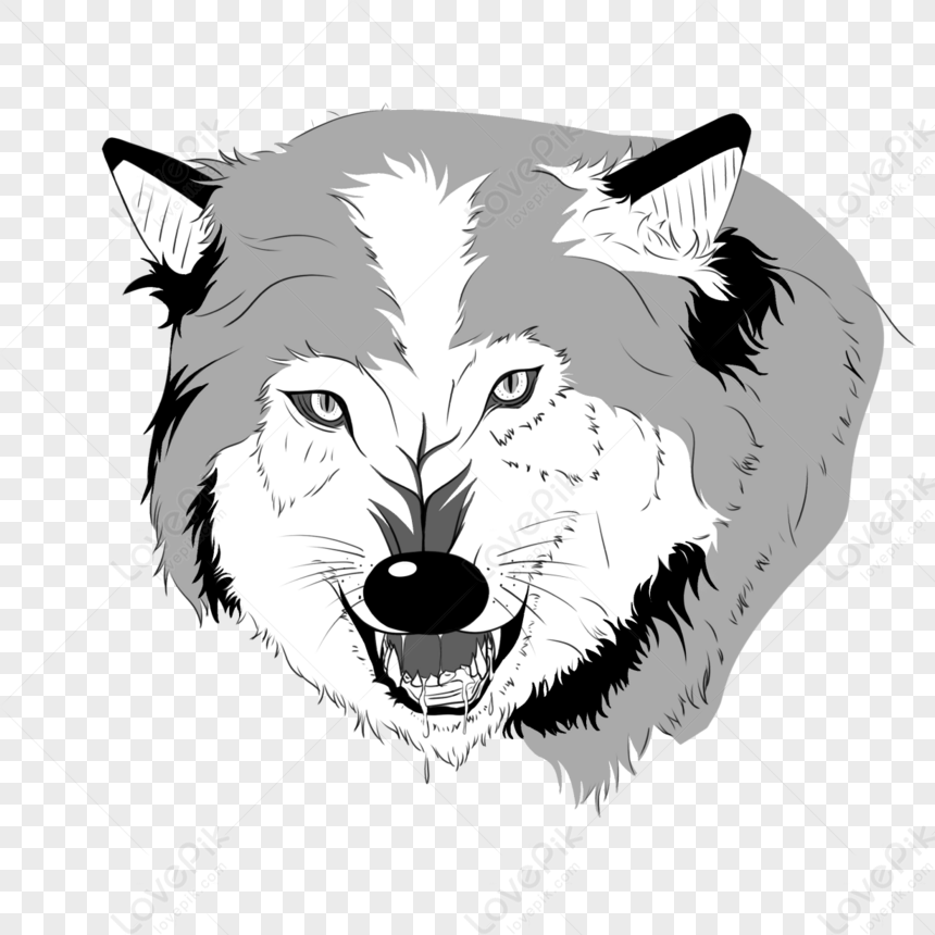 Hand Drawn Comic Style Wolf,vicious,animal,cartoon PNG White ...