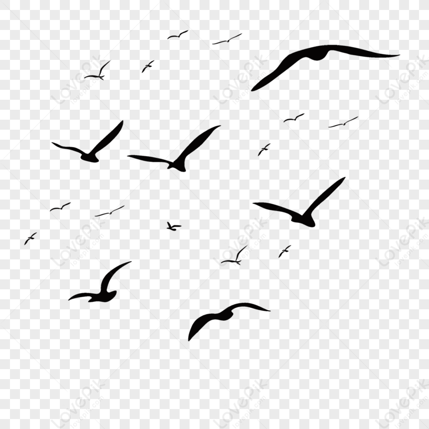 Hand Drawn Flock Of Birds Flying Silhouette,wings,flocks PNG White ...