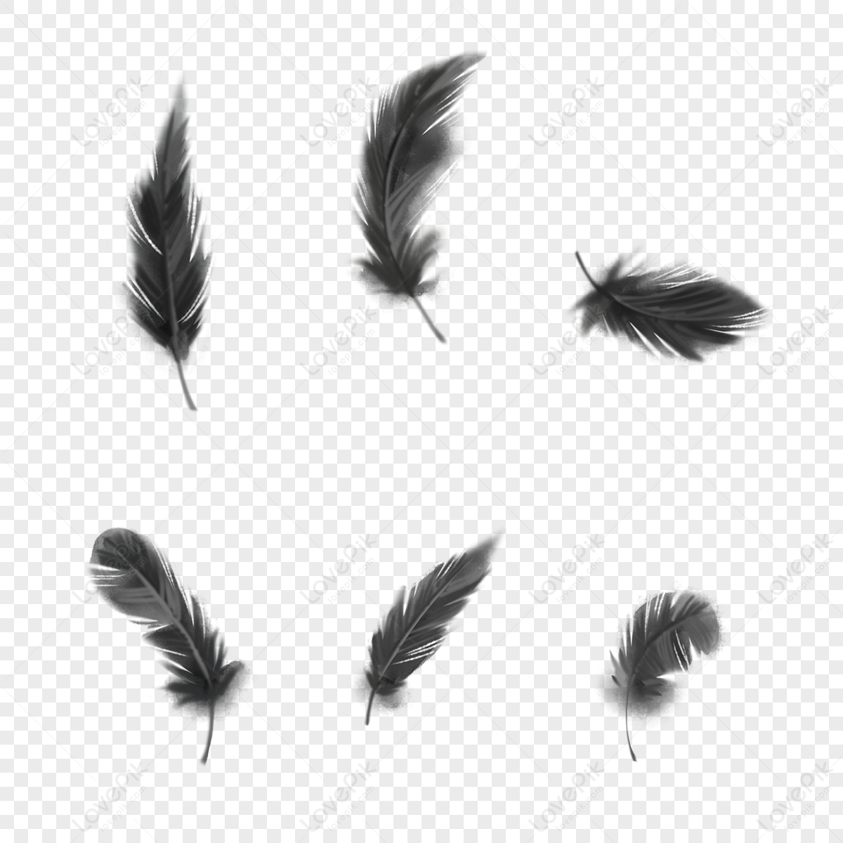 Black Feather PNG Images, Painting, Ink, Black PNG Transparent