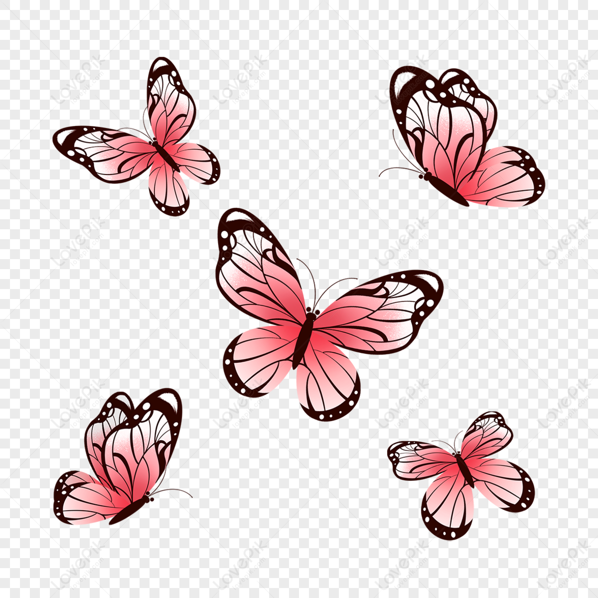 Flying Butterfly Images, HD Pictures For Free Vectors Download 
