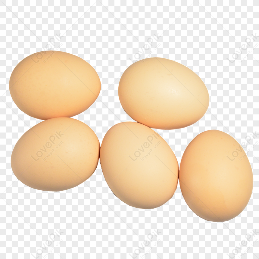 clipart oeufs