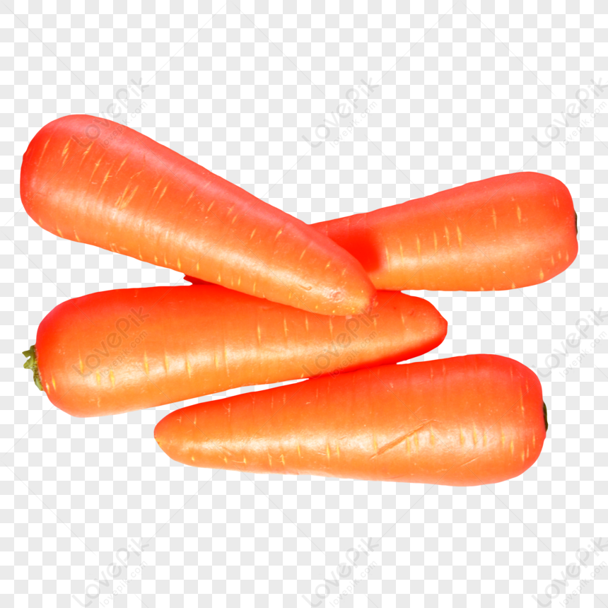 https://img.lovepik.com/png/20231011/Four-fresh-carrots-stacked-mature-full-stacking_172752_wh860.png