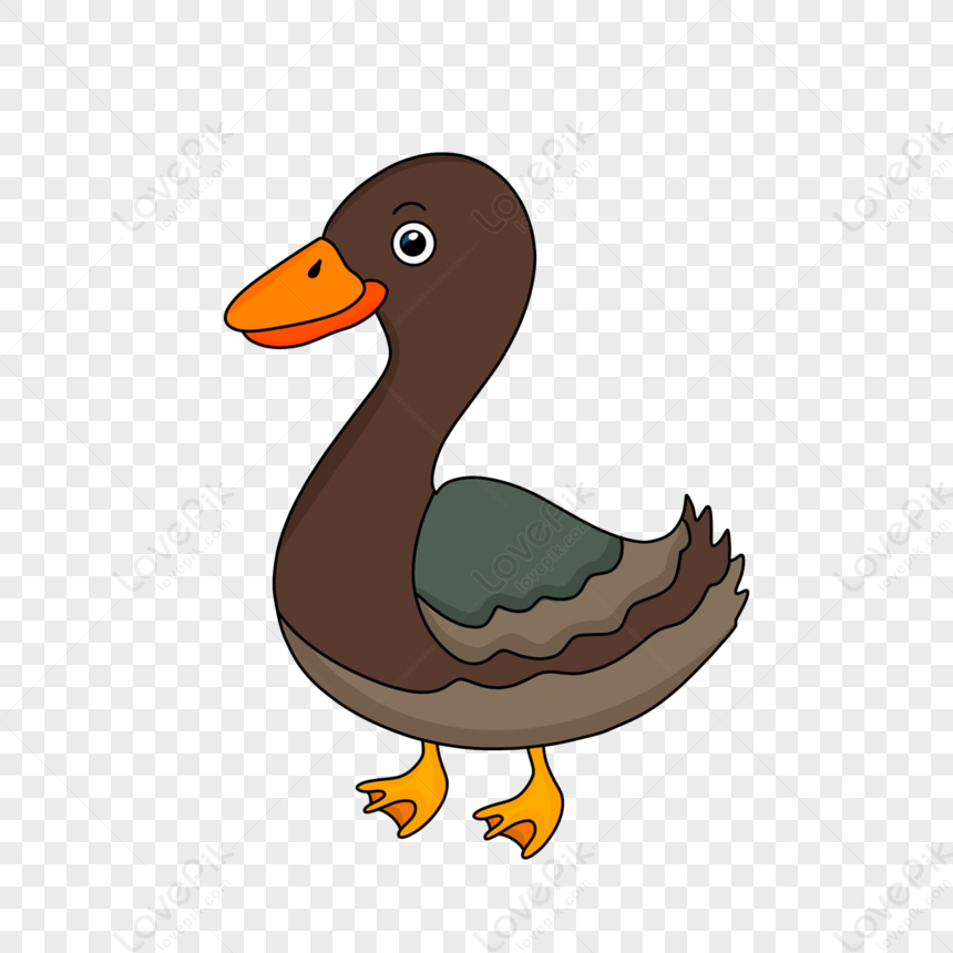 Hand Drawn Brown Cartoon Duck Clipart,hand Painted,tail PNG Image Free ...