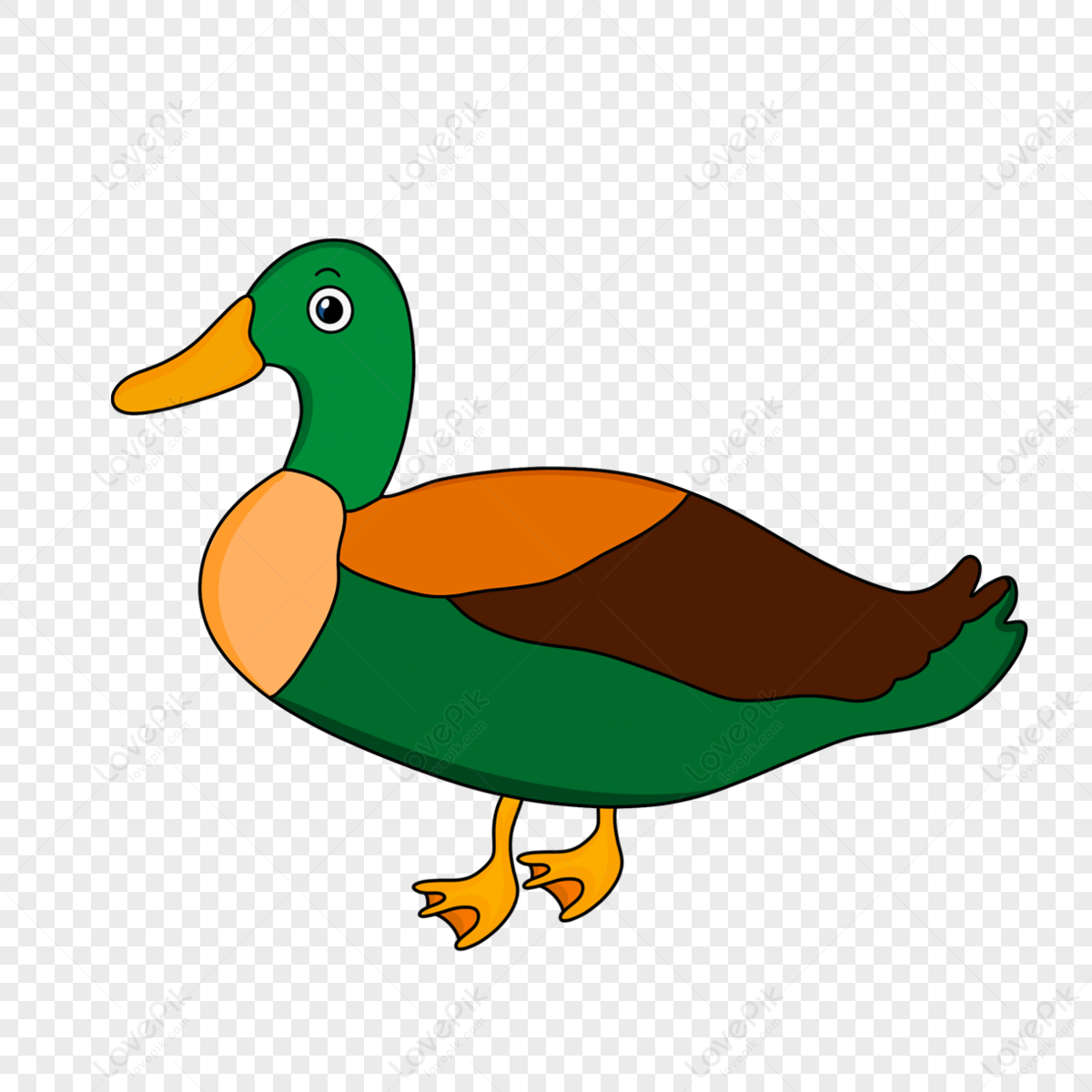 Hand Drawn Cartoon Green Duck Clipart,brown,duck Feet PNG Transparent ...