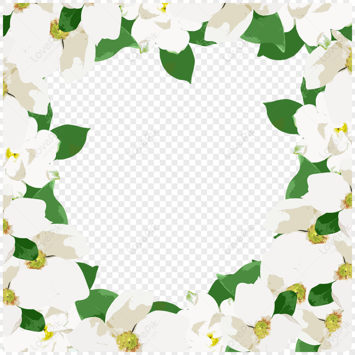 Jasmine Hand Drawn Romantic Border,flowers,leaf,hand Painted PNG Image ...