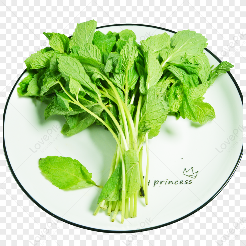 foglie di menta png