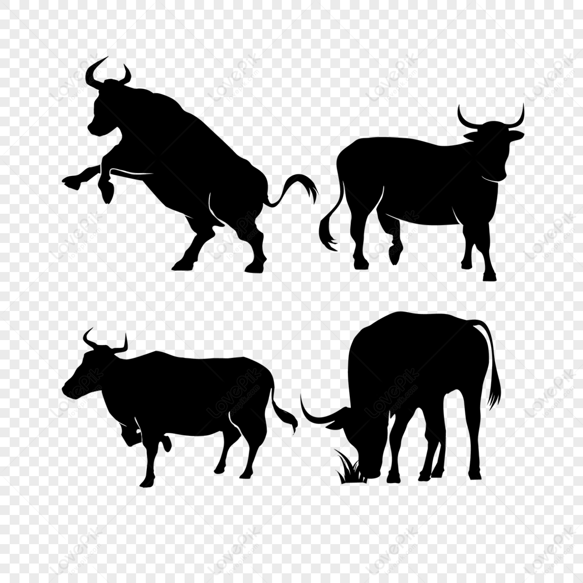 indian-bull-png-images-with-transparent-background-free-download-on