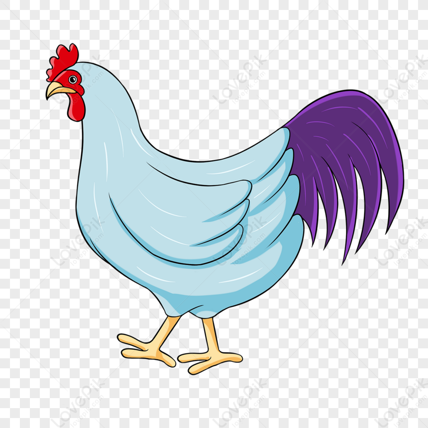 Chicken Clipart Purple Rooster Red Blue Yellow Purple,cock,blue And ...