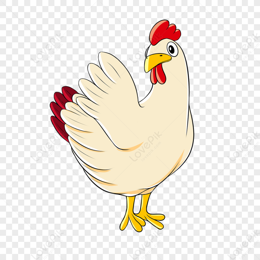 Colored Yellow Chicken Clip Art PNG Transparent Image And Clipart Image ...