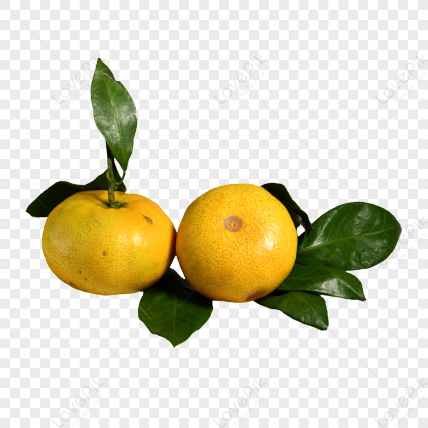 https://img.lovepik.com/png/20231012/Fresh-ripe-super-sweet-mini-oranges-with-leaves-mature-in_180393_wh860.png