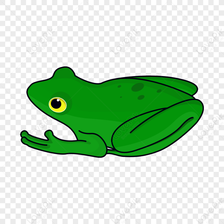 Green Frog Clipart Elements,tree Frog,bullfrog,black PNG Image And ...