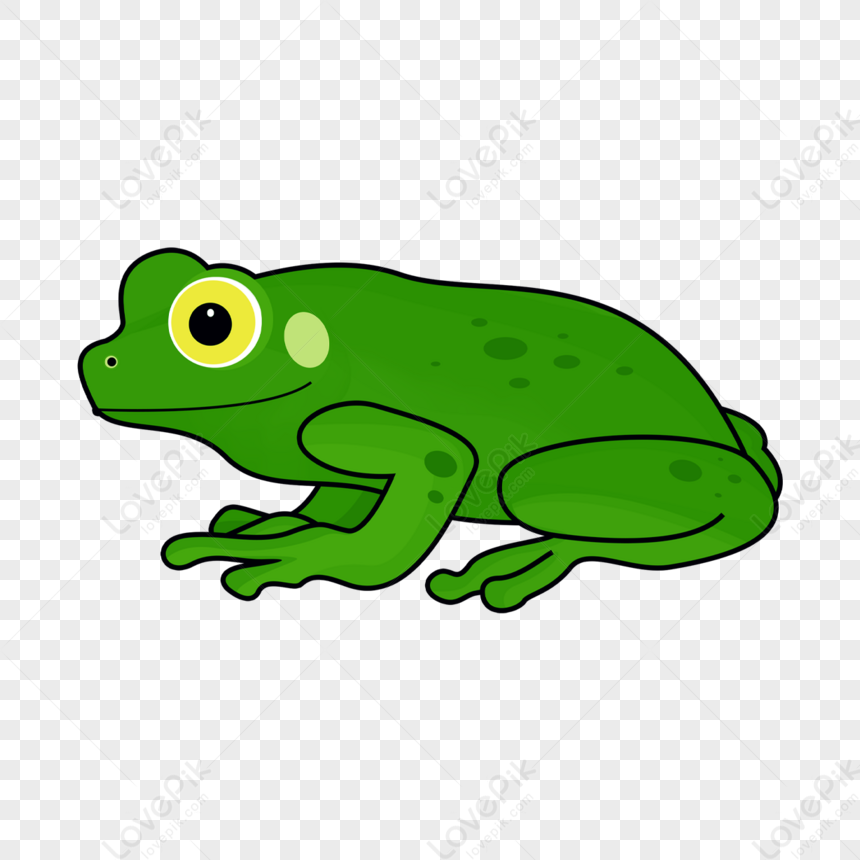 Green Frog Clipart Elements,tree Frog,spot,black PNG Transparent ...