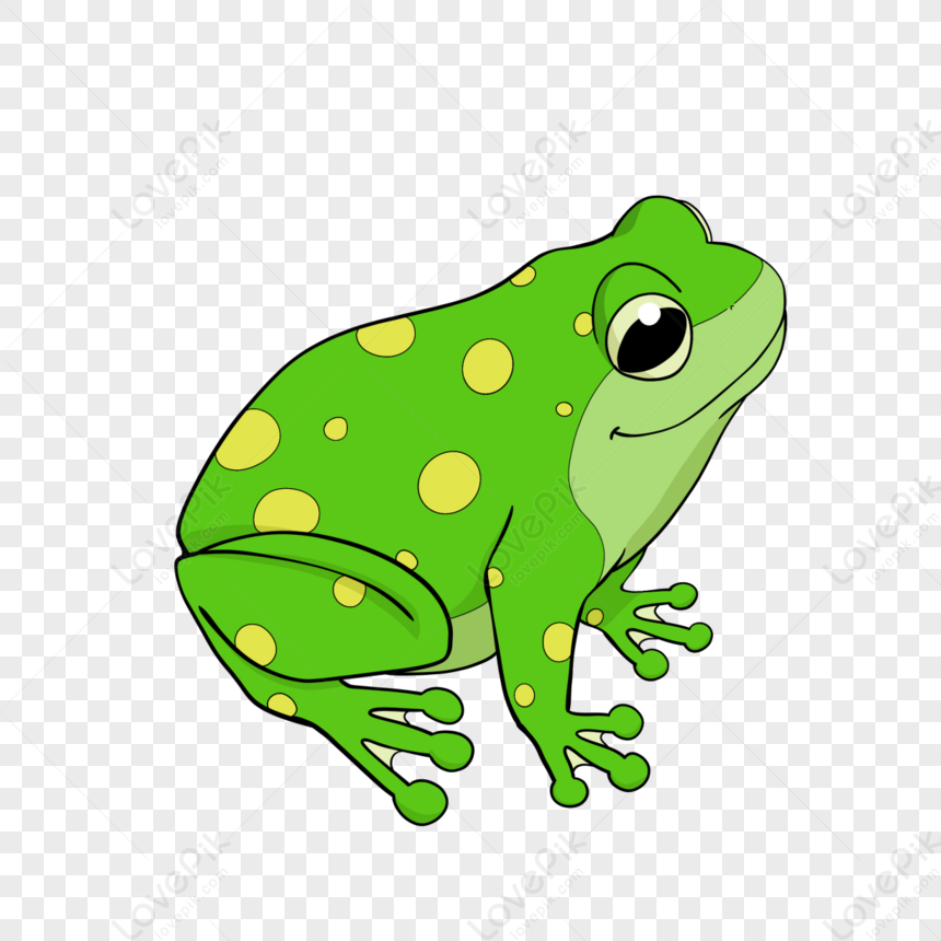 Hand Drawn Cartoon Frog With Big Eyes Clipart,animal,green Png Free 