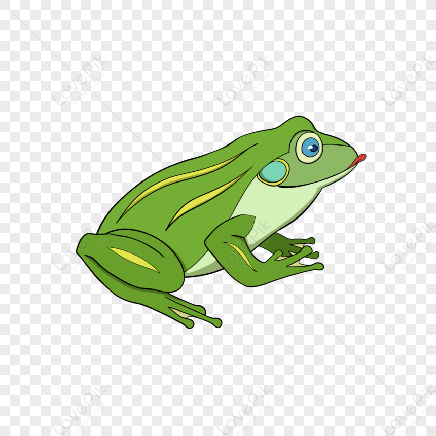 Hand Drawn Cartoon Striped Frog Clipart,map,green PNG Transparent ...