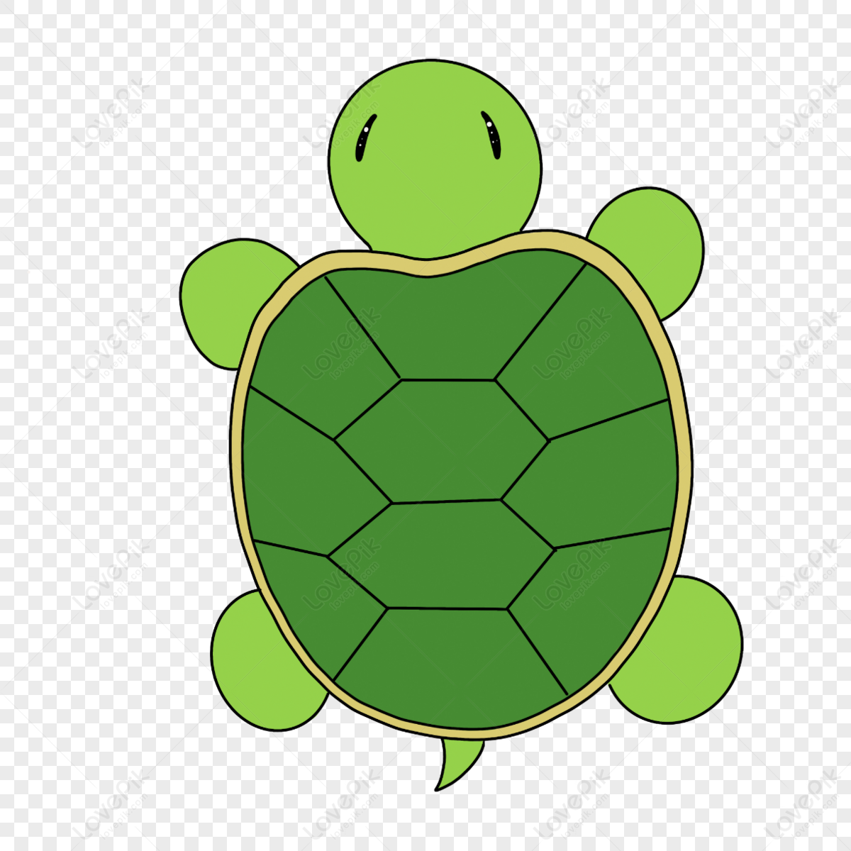 Hand Drawn Cartoon Tortoise Clipart,green,hand Painted,turtle Shell PNG ...