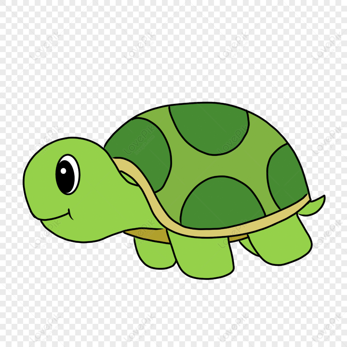 Hand Drawn Cartoon Tortoise Clipart,hand Painted,paint Hand,shell PNG ...