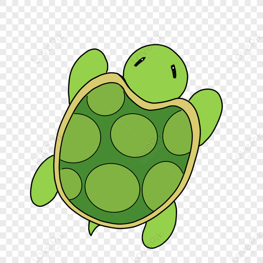 Hand Drawn Cartoon Tortoise Clipart,mail,maritime,practicing PNG Image ...