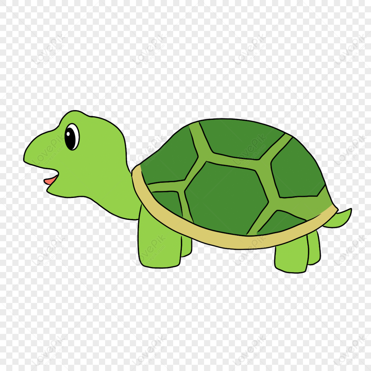 Hand Drawn Cartoon Tortoise Clipart,turtle Shell,hand Painted,shell PNG ...