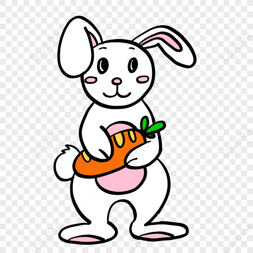 Hand Drawn Clipart Cute Rabbit Elements,carrot,orange PNG Hd ...