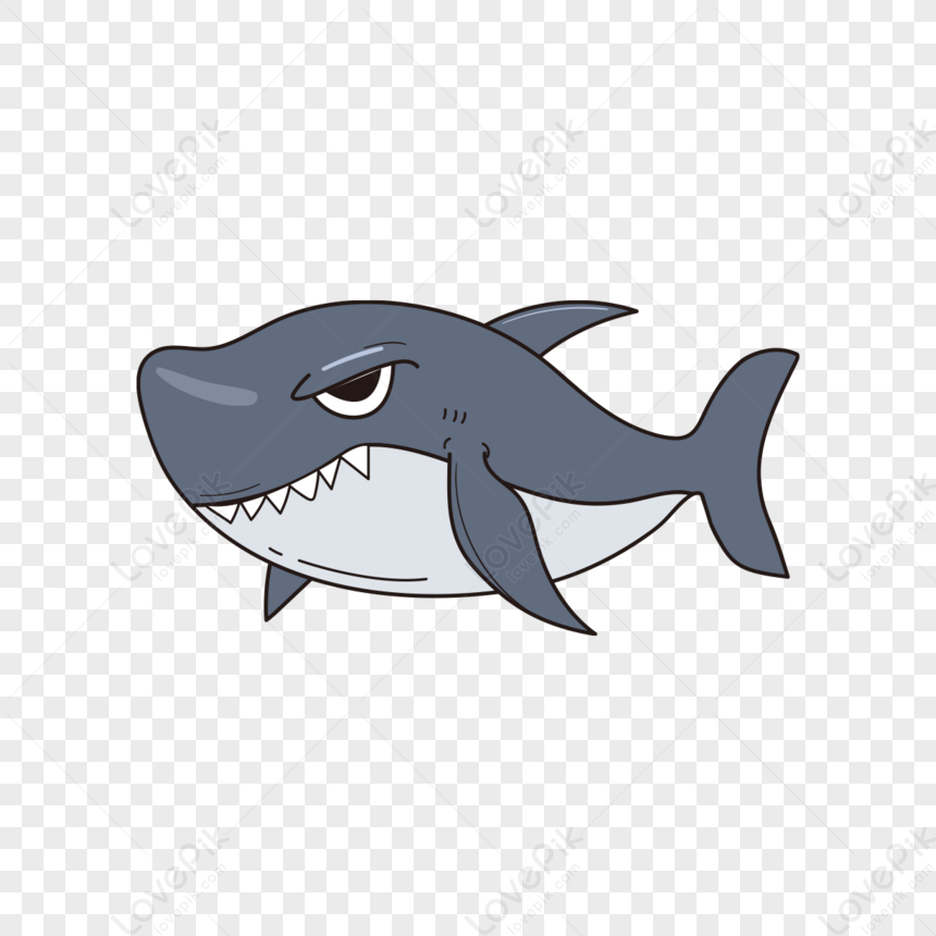 Shark Cartoon Clipart,cool,fish PNG Picture And Clipart Image For Free ...