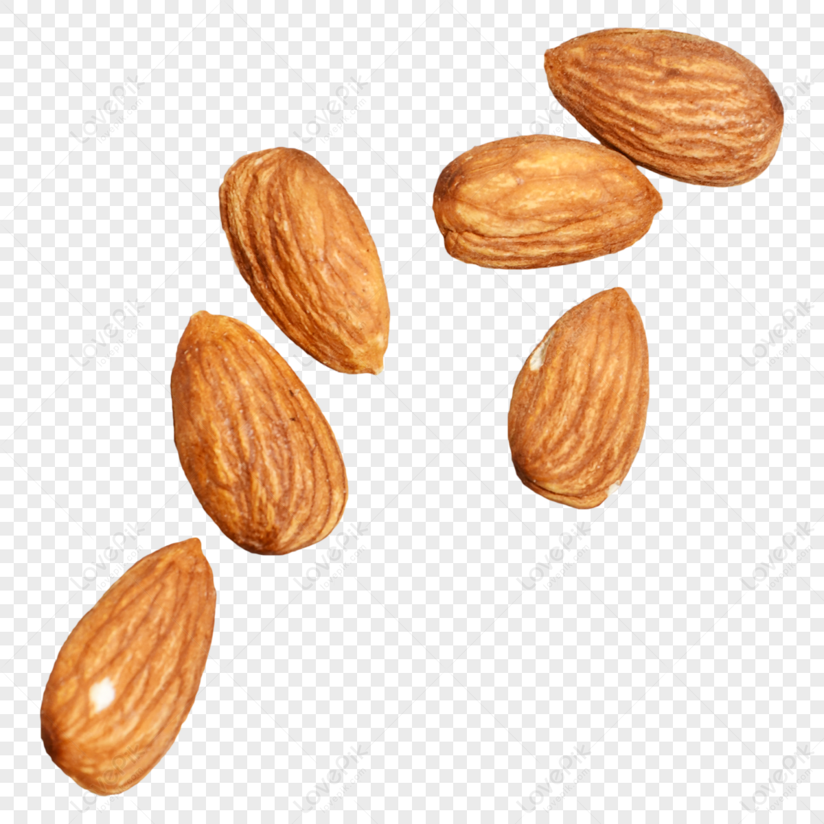 No Nuts Images, HD Pictures For Free Vectors Download - Lovepik.com