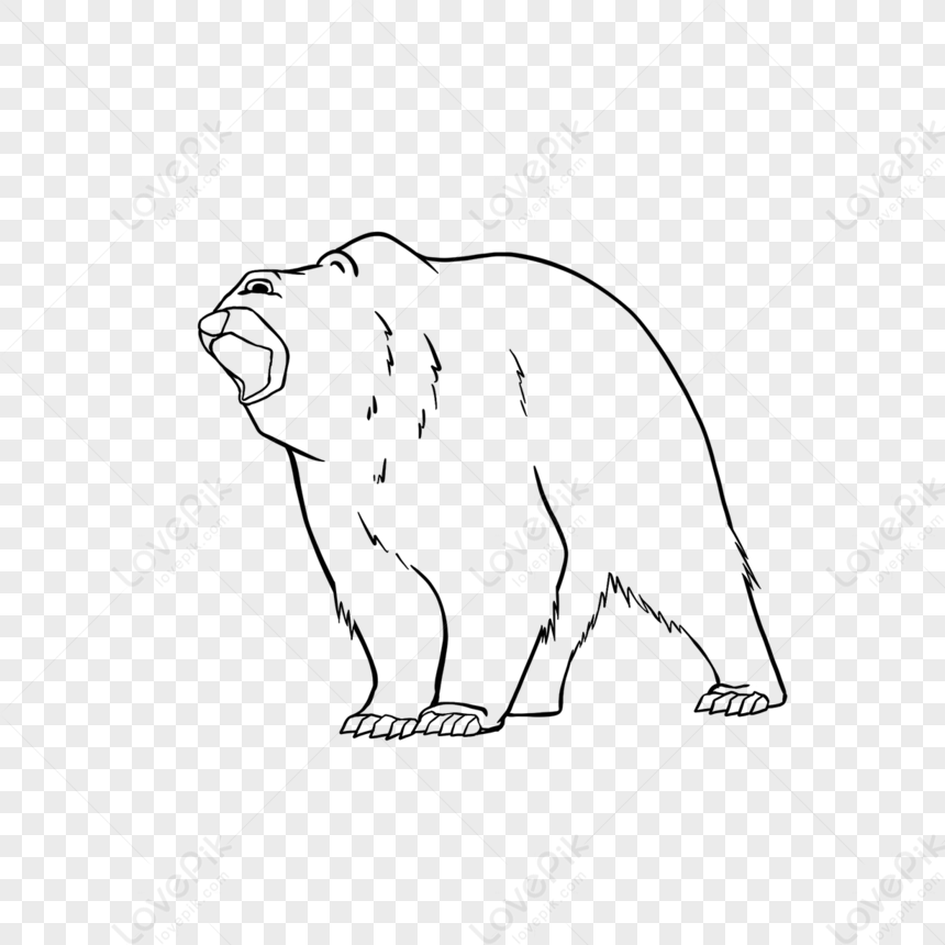 Photo de Ours Noir Et Clipart Ours Blanc Cliparts Noir Et Blanc