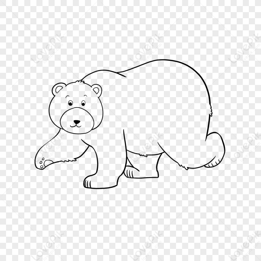 Orso disegnato a mano da colorare per bambini