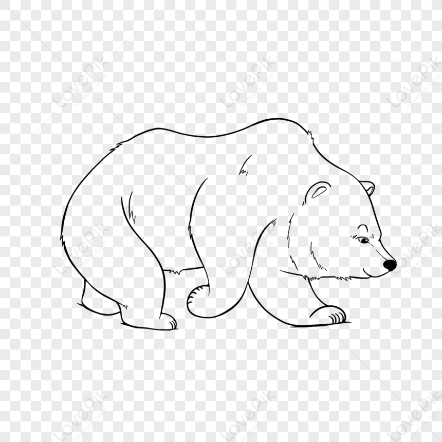 Bear Clipart Black And White Cartoon Line Art,bear Drawing,cartoon ...