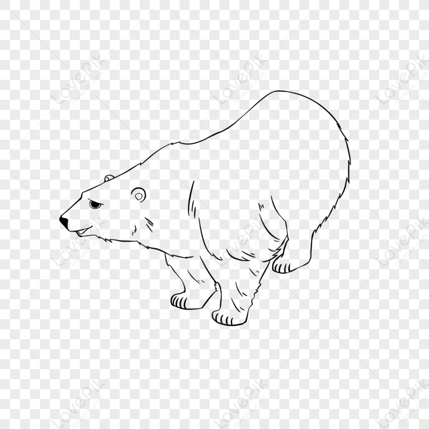 Bear Clipart Black And White Cartoon Lineart Jumping Bear,anime,bear ...