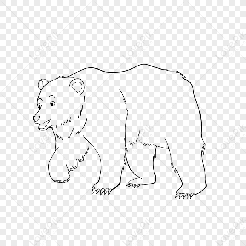 Bear Clipart Black And White Hand Drawn Walking Bear,dog,tracing PNG ...