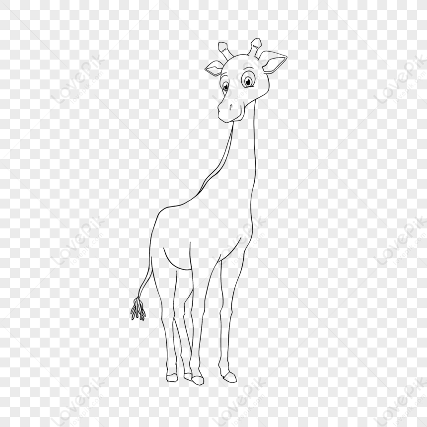 Giraffe Clipart Black And White Giraffe Clipart Black And White PNG