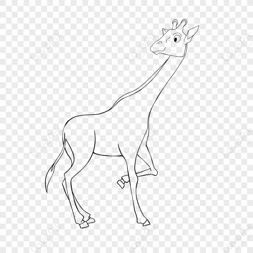 Giraffe Clipart Black And White Giraffe Looking Back Lineart,cartoon