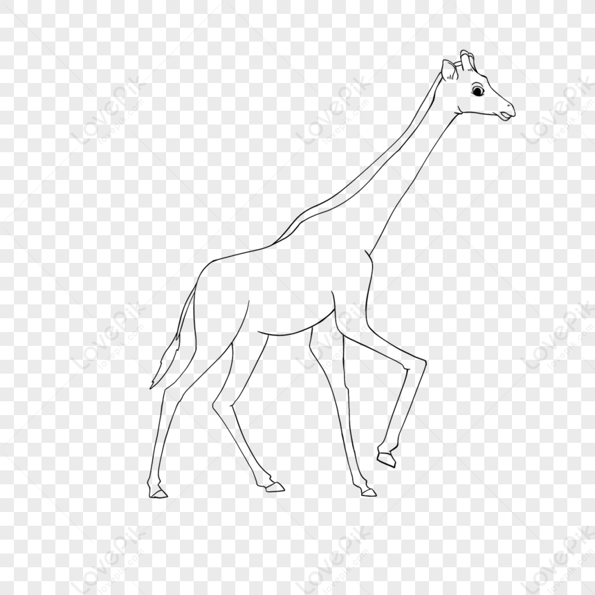 Giraffe Clipart Black And White Giraffe Walking Childrens Drawing,paint ...