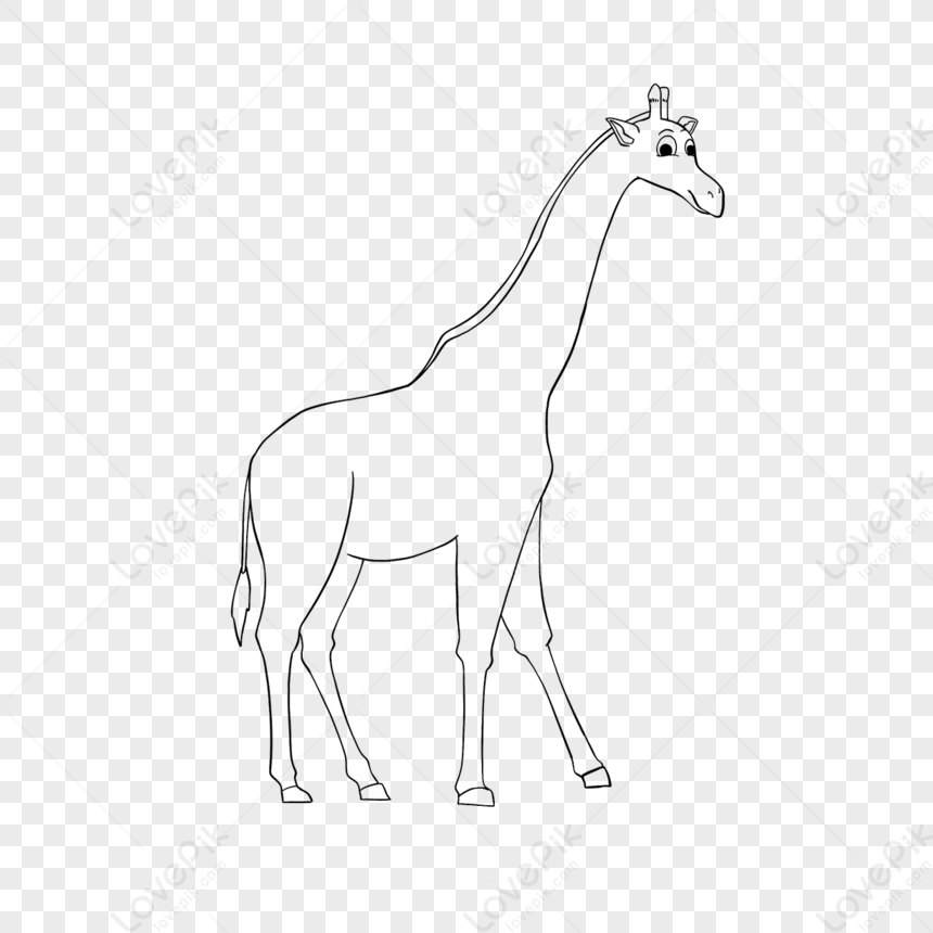 Giraffe Clipart Black And White Lineart Giraffe Cute Childrens Drawing ...